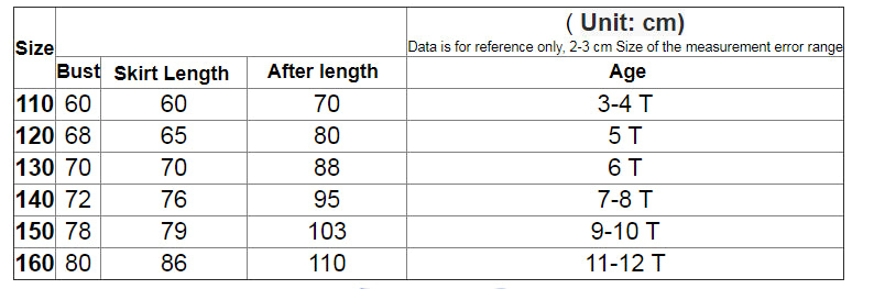 Princess Dress for Girls