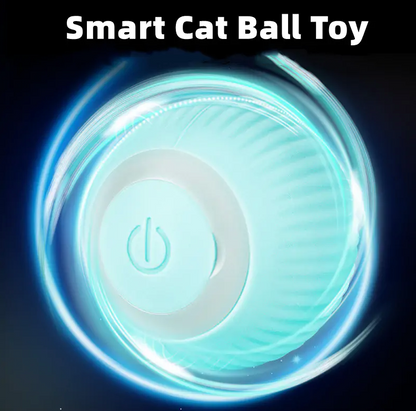 Smarte katteballleker