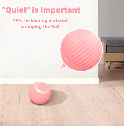 Smarte katteballleker